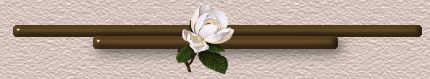 Line Divider