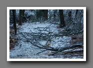 [Click to enlarge image]