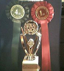 Awards from Boston
