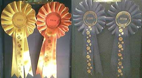 Awards from SCAMPS
