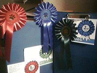 Awards from Barnwell CMC Show