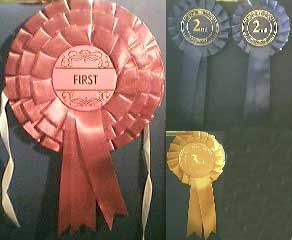 Awards from Ashfordby