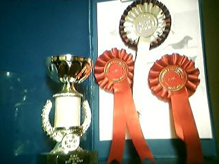 Awards from the Christmas CMC Show