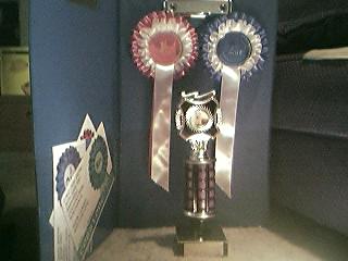 Awards from the Isleham Fun Show