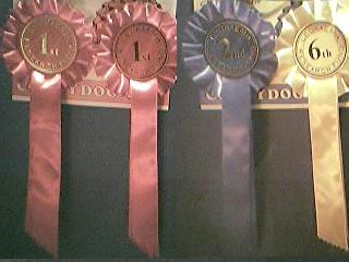Awards from Woodcocks CMC Show