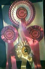 Awards Babbington Hall