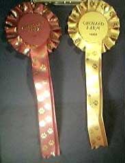Awards from Hogsthorpe