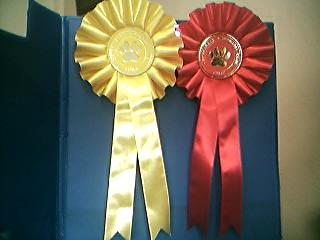 Awards from the Tattershall CMC Show