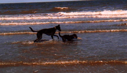 I like the sea