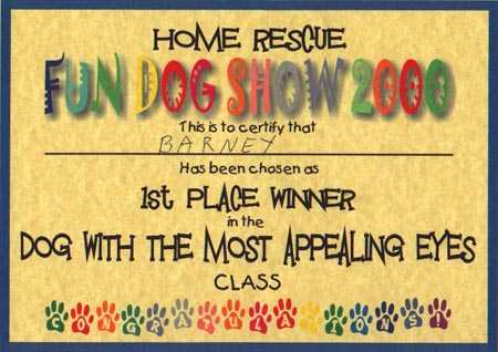 Show Photos