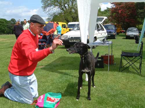 Barney winning SCAMPS
