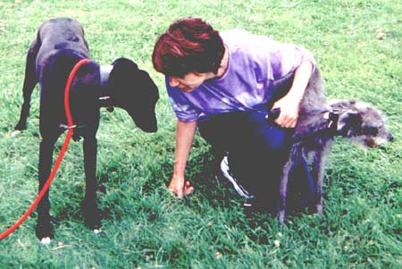 Barney & Mum