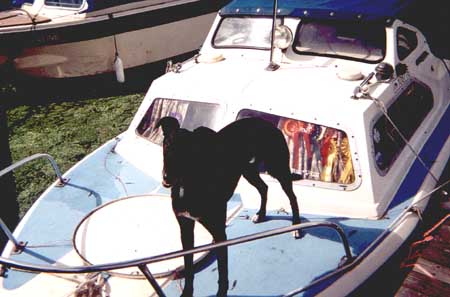 Barney on his boat