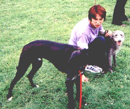Barney in the ring