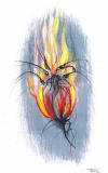 Burning rose