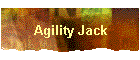 Agility Jack
