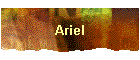 Ariel