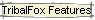TribalFox Features
