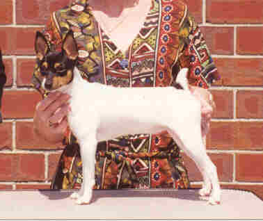 2002 National Grand Champion "Sabeana"