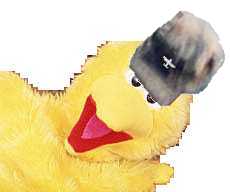 Big Bird