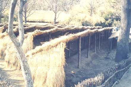 FolkVillage