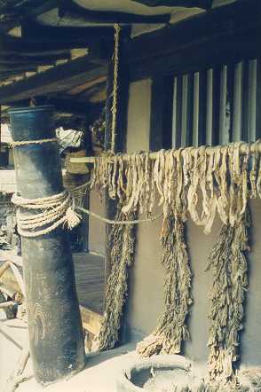 Traditional House Front