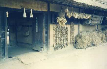 Traditional House Side