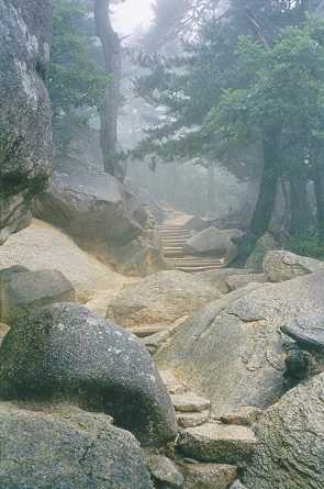 Trailstairs