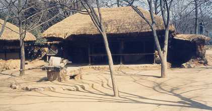 Walkaround and make Rice Flour