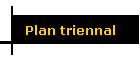 Plan triennal