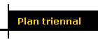 Plan triennal