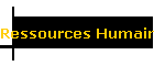Ressources Humaines