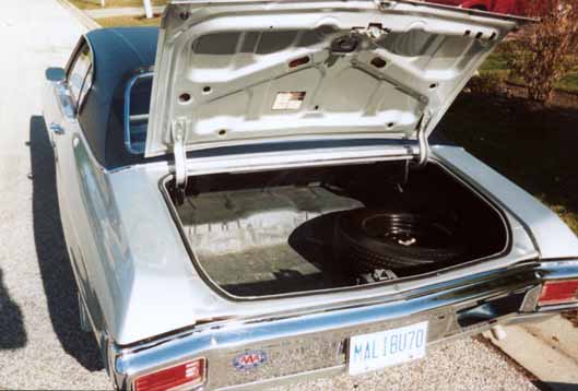 [A view in the trunk.] 