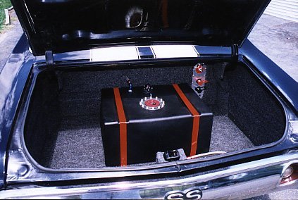 [Trunk.]