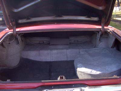 trunk