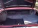 trunk