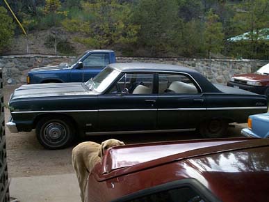 best_chevelle_good_view