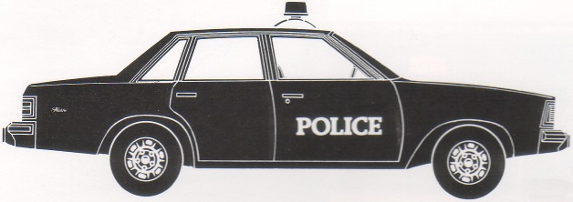 1980 4 door Malibu 9C1