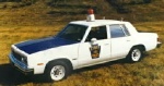 83 9C1