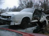 Junkyard Jewel pic1