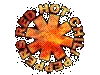 Red Hot Chili Peppers