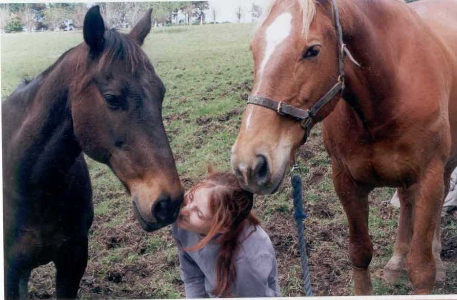 Rabbit, Me, Moose