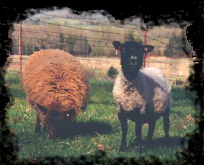 Bethany and Limmerick, April 1999