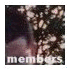 members