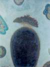 [acrilyc_paper_5_scaled.jpg]