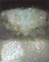 [acrilyc_paper_n13_scaled.jpg]