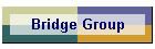 Bridge Group