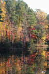 CanvasbackPond1.JPG (148528 bytes)
