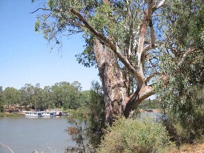 River looking upstream