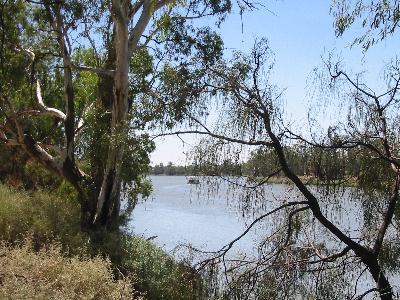 River looking downstream